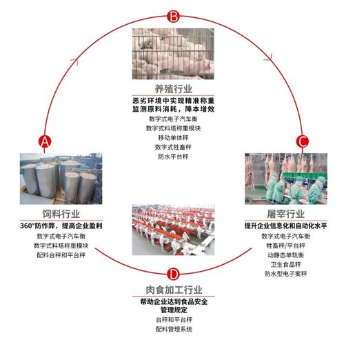 新益德饲料行业称重方案,从源头控制,提升产品质量和生产效率