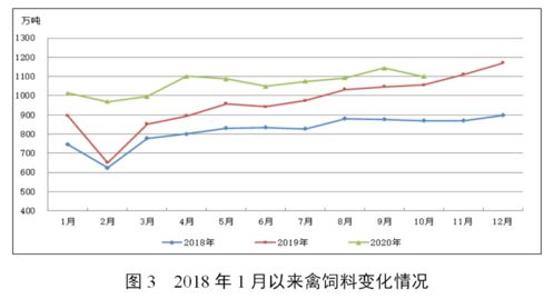 2020年10月份全国饲料生产形势